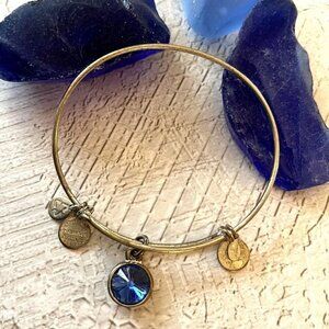 Alex and Ani Saphire Birthstone Bracelet Silver Tone